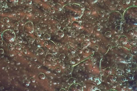 Bubble texture pattern rising Stock Photos