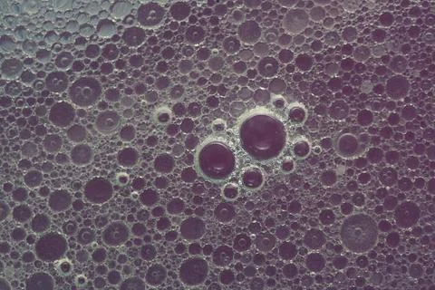 Bubble texture Stock Photos