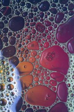 Bubble texture Stock Photos