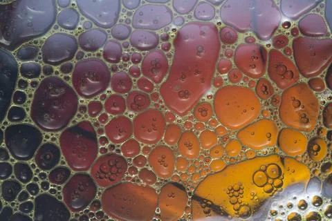 Bubble texture Stock Photos