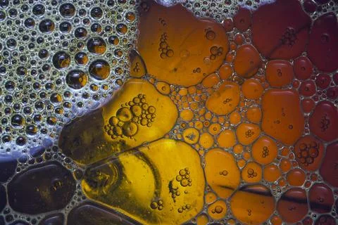 Bubble texture Stock Photos