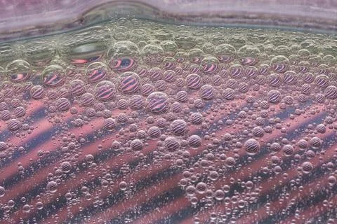 Bubble texture Stock Photos