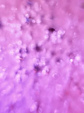 Bubble textures Stock Photos