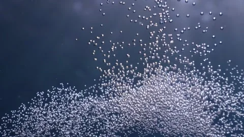 Bubble underwater ocean scenery of bubbles for backround textures Video stock 175783364