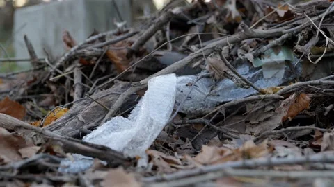 Bubble wrap trash trapped under dead twigs and leaves Stock Footage 154002028
