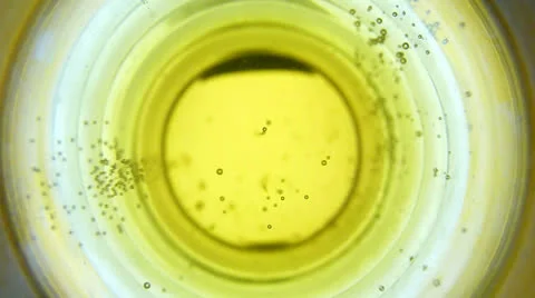 Bubblelights 004 Stock Footage 24170594