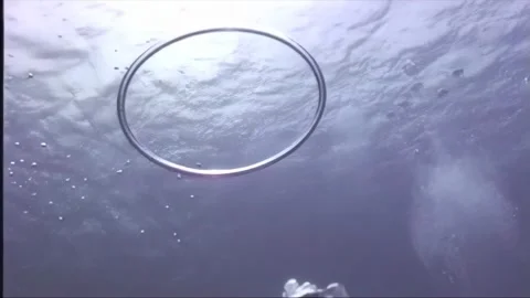 BUBBLES 1 Video stock 306531683