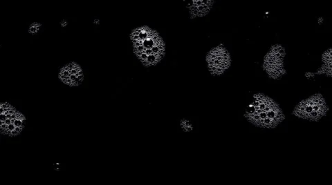 Bubbles 17 Видео 31559782