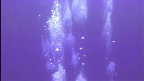 BUBBLES 5 Video stock 306533569