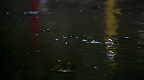 Bubbles after rain. Stock Footage 12065235