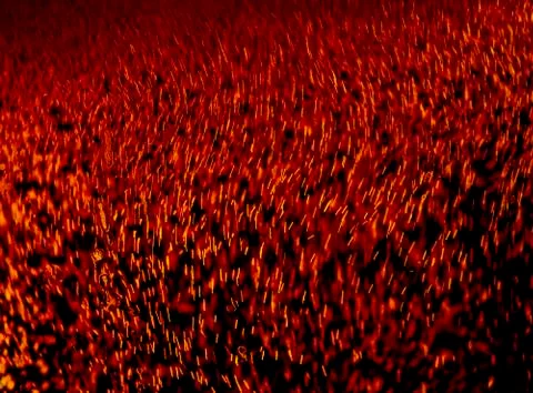 Bubbles and foam in the rays of light in a glass of beer close-up Stock Photos
