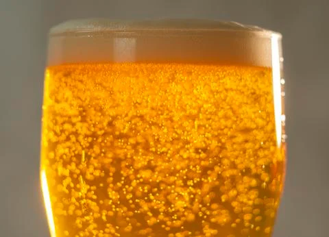 Bubbles and foam in the rays of light in a glass of beer close-up Stock Photos