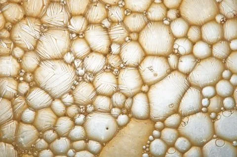 Bubbles and lines Stock Photos