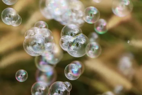 Bubbles and natural 스톡 사진