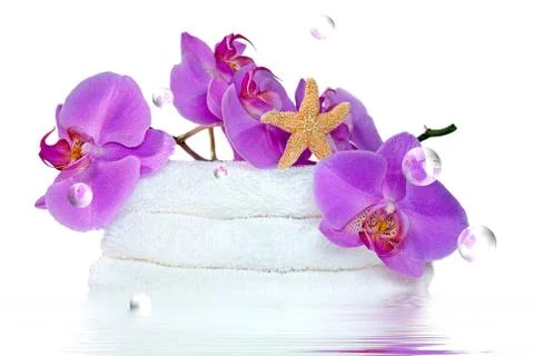 Bubbles and orchids Stock Photos