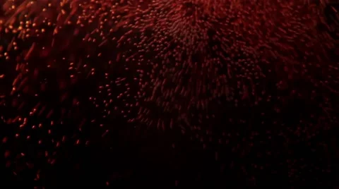 Bubbles and Sparkle Stock Footage 45294647