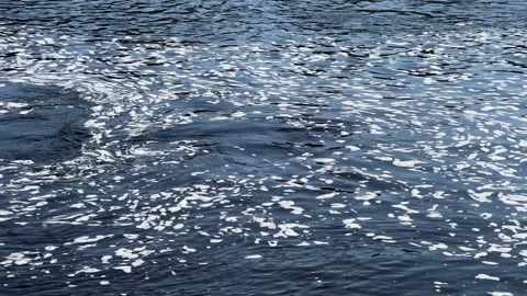 Bubbles and swirls in a flowing river Stock Footage 283965859
