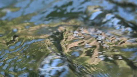 Bubbles and waves on a mountain stream (slow motion) Video stock 219393562