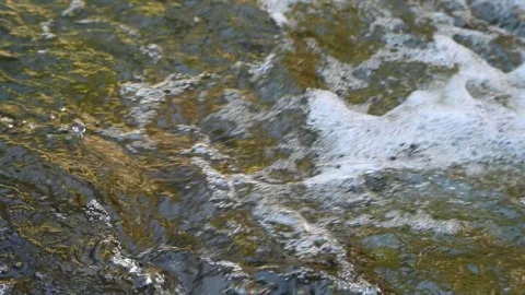 Bubbles and waves on a mountain stream (slow motion) 스톡 동영상 219394108
