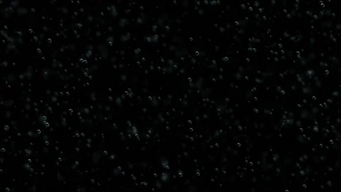 Bubbles appear in the champagne. Depth of field.Bubble Surges on Black Video stock 98609135