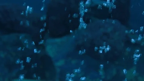 Bubbles in aquarium Stock Footage 80482025