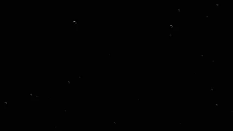 Bubbles are filled with carbon dioxide and float upwards. Stock Footage 104653675