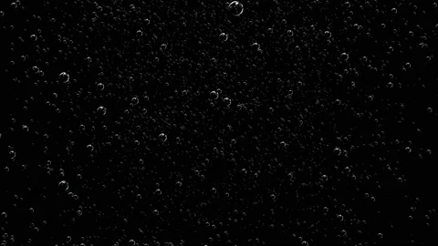 Bubbles are filled with carbon dioxide and float upwards. Stock Footage 110699099