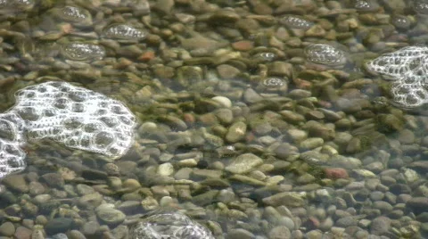 Bubbles are floating on the clear water's surface (High Definition) Video stock 365016
