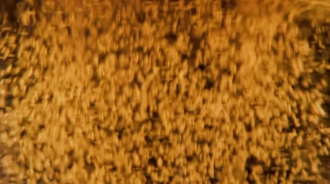 Bubbles in beer Stock Footage 12675511