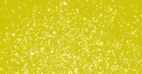 Bubbles in beer Stock Footage 141375757