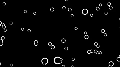 Bubbles black and white background Stock-Footage 263014813
