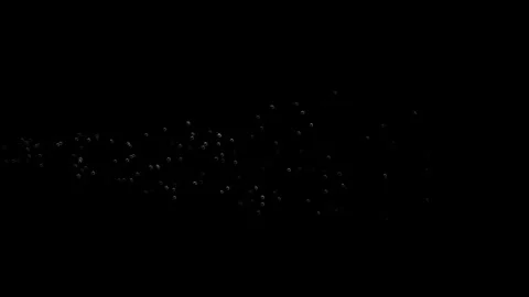 Bubbles on Black Background, 4k, loop Stock Footage 276324806