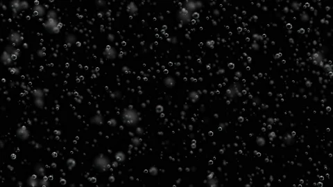Bubbles on a black background with different depth of field. Beautiful animation Stock Footage 117355111