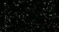Bubbles on black background HD Footage