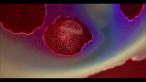 Bubbles in the blood Stock Footage 288089654