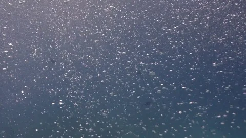 Bubbles on the blue Video stock 72365416