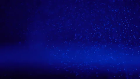 Bubbles of boiling water in a teapot with blue light close up Stock Footage 144025062