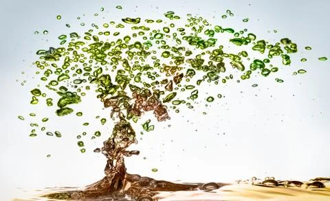 Bubbles Bonsai - colored Stock Photos