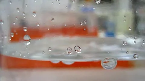 Bubbles in a bottle Stock Footage 11977537