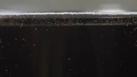 Bubbles of carbonated Cola float slowly in the glass Stock Footage 118805547