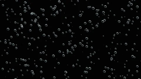 Bubbles of carbonated drinks slowly rise up on a black background. Stock Footage 108685905