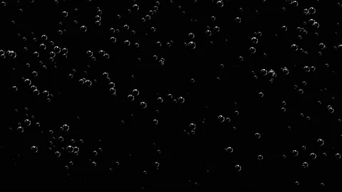Bubbles of champagne appear and float upwards on a black background. Stock Footage 110698662