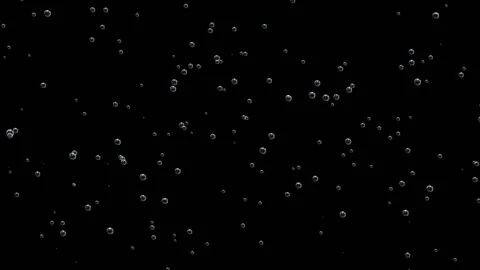 Bubbles of champagne on a black background. Carbonic acid fills the bubbles Stock Footage 100185349