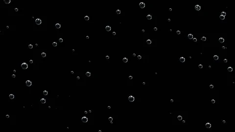 Bubbles of champagne on a black background rise. Stock Footage 144016578