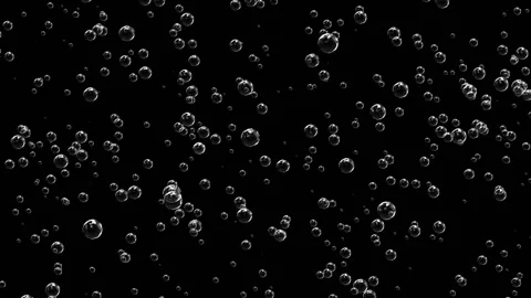 Bubbles of champagne rise up in a dense layer. Bubbles grow on the glass and Stock Footage 135308454