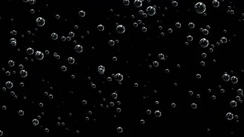 Bubbles of champagne rises rapidly against a black background. Stock Footage 144016581