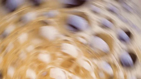 Bubbles of coffee. Abstract background. Macro top view Stock Footage 73700786