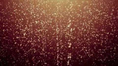 Bubbles of Cola drink loop background Stock Footage 69293674