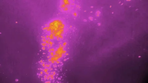 Bubbles Colors Fly Throughs Stock Footage 78337361