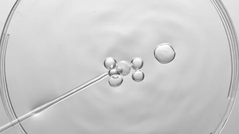 Bubbles come out from dropper and float on fluid in petri dish Stock Footage 167343749
